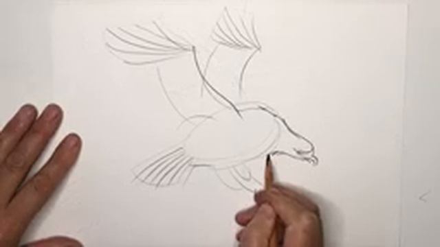 Как нарисовать орла карандашом за 3 минуты / Легко и быстро / СКЕТЧ / Часть 1 смотреть онлайн