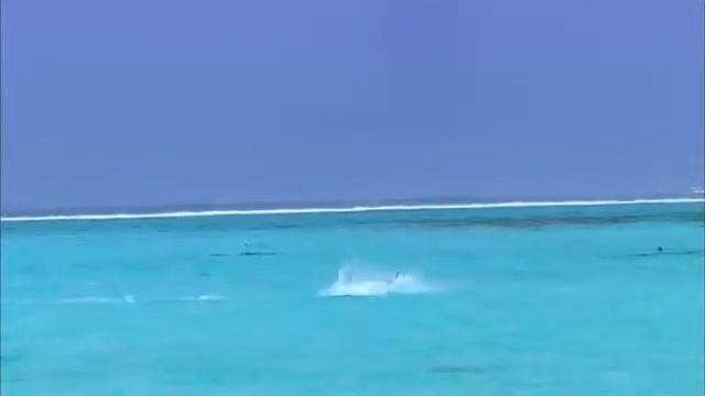 Туристические жемчужины   Бора Бора   Bora Bora