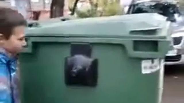 Череповецкий даун залезает в мусорный бак за 30р смотреть онлайн