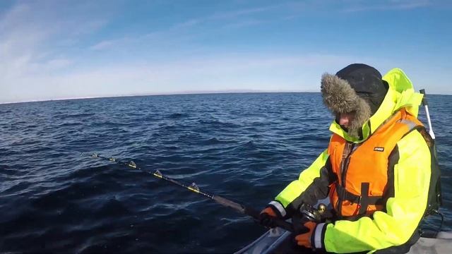 ЛУЧШИЕ МОМЕНТЫ МОРСКОЙ РЫБАЛКИ / THE BEST MOMENTS OF SEA FISHING смотреть онлайн