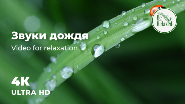 Расслабляющие звуки дождя для сна