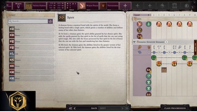 Pathfinder: WotR - Shadow Shaman Starting Build - Beginner's Guide [2021] [1080p HD] смотреть онлайн