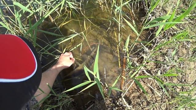 Рыбалка на спиннинг подготовка к соревнованиям (Часть 2) смотреть онлайн