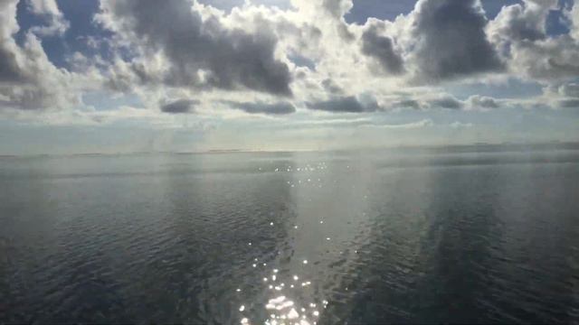 Different Techniques for Fishing in NO WIND смотреть онлайн