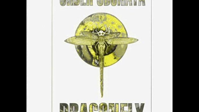 The Infinity Project-Brain Bokka смотреть онлайн
