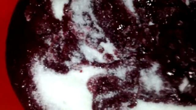 Перетертая смородина с сахаром Кухонный комбайн Bosch MCM 5529 Джем из смородины смотреть онлайн