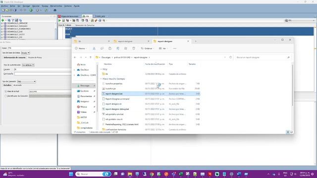 Conexion ORACLE Pentaho Report Designer смотреть онлайн