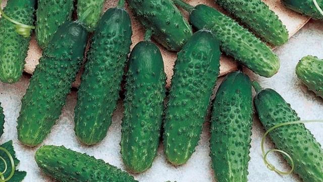 Характеристики и описание гибрида огурца Маринда F1 смотреть онлайн