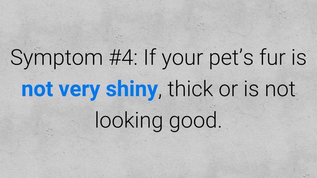 How do you know if your dog has worms? 5 symptoms смотреть онлайн