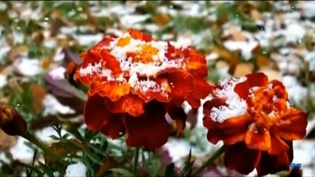 Муза вдохновения Мелодекламация на стихи Бориса Рудина смотреть онлайн
