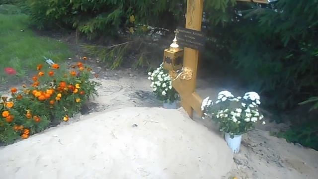 2 августа 2016 в Брянске смотреть онлайн