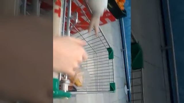 ВЛОГ#ШОПИННГ#ВСЁ КРУТО смотреть онлайн