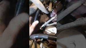 Само включается зажигания на ваз 2110 или 2170 причина проста