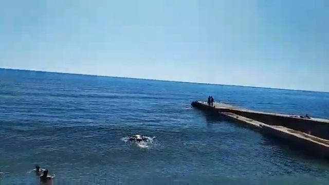 Семидворье, Урочище Аян-дере, в 4 км от Алушты смотреть онлайн