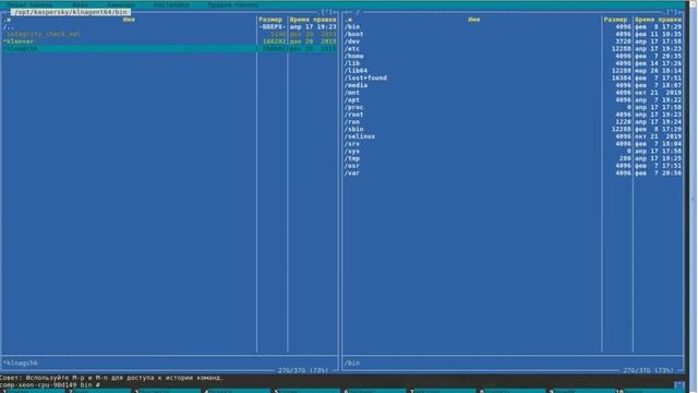 ALT Linux 8 СП. Часть 11. Антивирус Касперского. Агент администрирования. смотреть онлайн