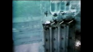 Эксперимент «Вселенная 25»