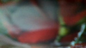 Песенка о картинах(Если видишь, на картине нарисована река,или ель и белый иней,или сад)наброски)