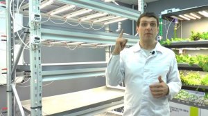 Крутая гидропонная установка или сити-ферма доступна каждому!