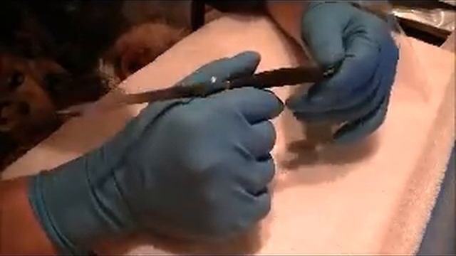 Японец из Смоленска смотреть онлайн