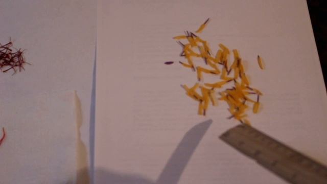 Желтые тычинки шафрана используется как куркума (текст на Азербайджанском языке)