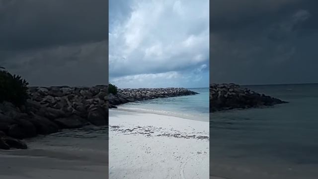 Гипноз и медитация для роста новых зубов ( настрой Сытина и музыка Моцарта Вам помогут ) смотреть онлайн