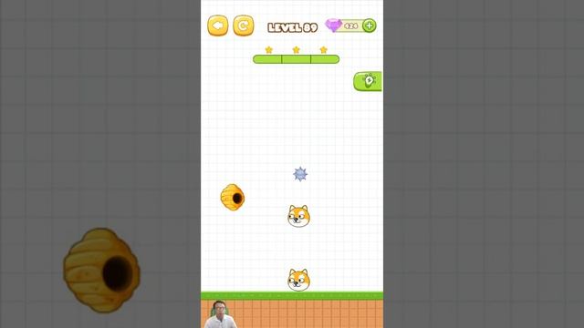 Save The Pets Level 81 - 90 Walkthrough смотреть онлайн
