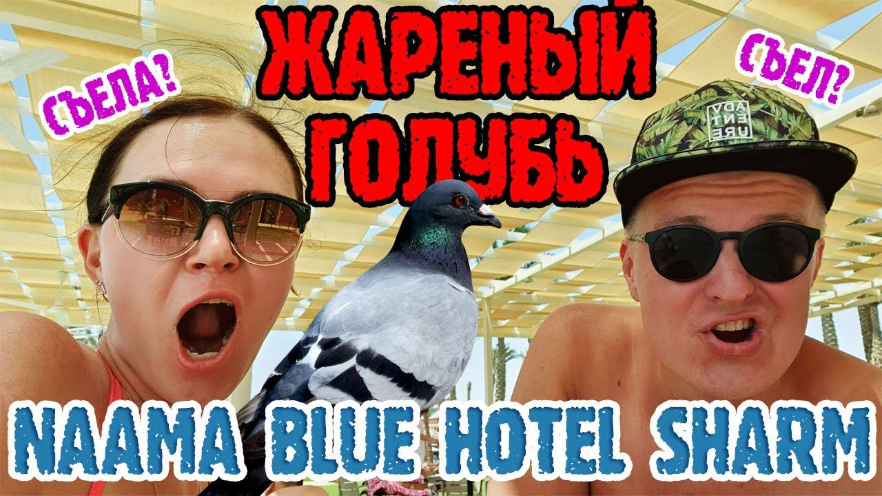 Naama Blue Hotel Sharm el sheikh - 2 серия. Стритфуд на Naama Bay. Дешевое кафе. СЪЕЛИ ГОЛУБЯ! смотреть онлайн