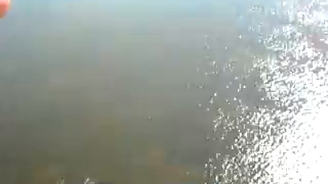 «... «откуп»» смотреть онлайн