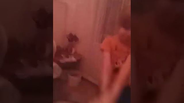детская весёлая песенка бомбино я на севере . праздник песен карконова виктория смотреть онлайн