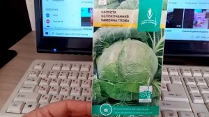 Выращивала и буду Выращивать  Капусту «КАМЕННАЯ ГОЛОВА» .Позднеспелая. Хорошо ХРАНИТСЯ  11 02  2022