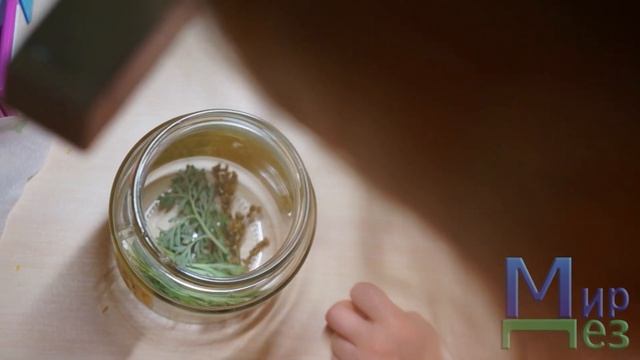 Полынь против клопов помогает? смотреть онлайн