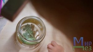 Полынь против клопов помогает?