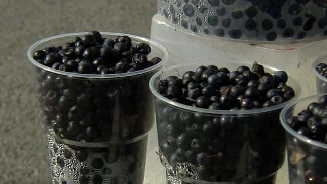 ЧЕРНИКА И ЕЕ ЛИСТЬЯ. ЛЕГЕНДА И ПРАВДА о ягоде. СВОЙСТВА И ПОЛЬЗА ЧЕРНИКИ ДЛЯ ЗДОРОВЬЯ смотреть онлайн