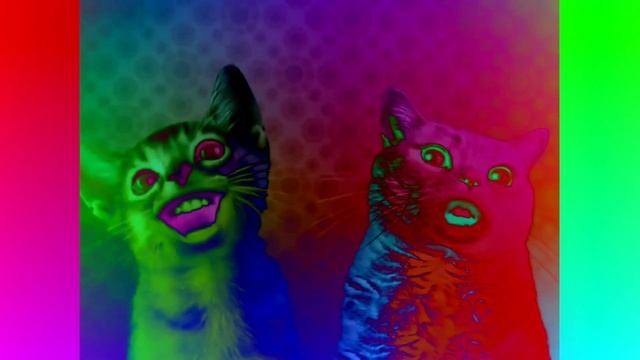 Numa Cat Preview 2 Effects Reverse