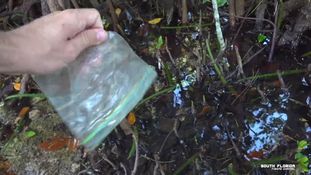 Fishing Bucket Challenge | Win Fishing Gear! #FishingBucketChallenge смотреть онлайн