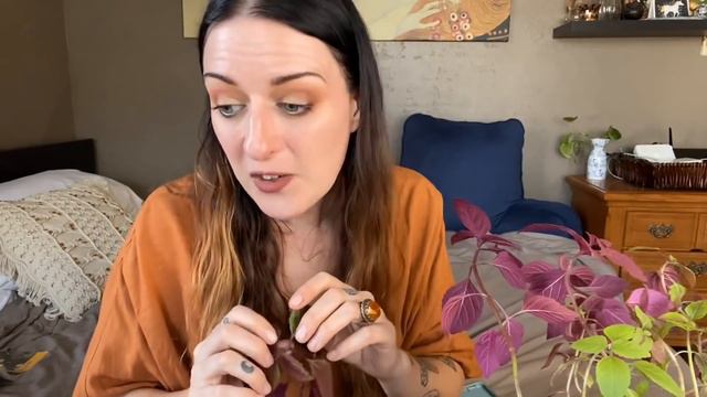 Indoor Coleus Care Pt. 2 | Rehabbing A Leggy Coleus + Your Questions!