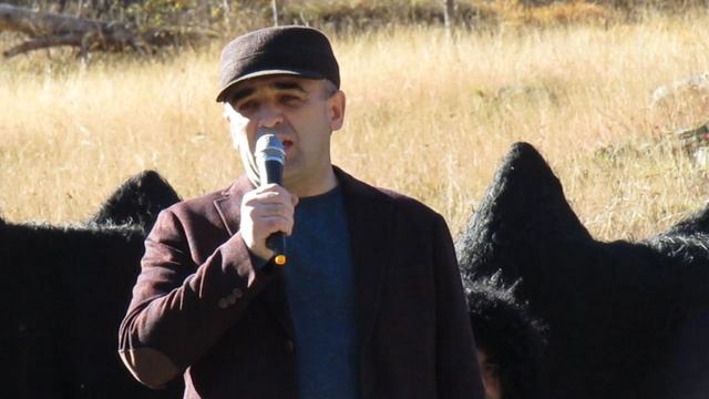 MVI_9222 смотреть онлайн