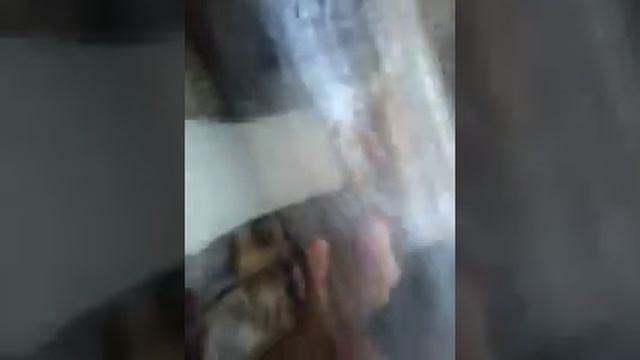 Бабочка зимой смотреть онлайн