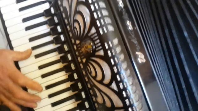 Weltmeister Caprice 120 Bass LMMH Accordion Akkordeon Fisarmonica Black (1) смотреть онлайн