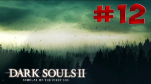 Dark Souls 2 SotFS - Полный Гайд. Прохождение, Секреты и ЛОР. Часть 12. Роща Охотника