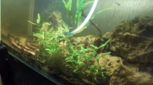 Диффузор своими руками | Аэрация в аквариуме | Жизнь аквариумных рыбок