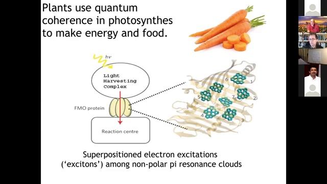 2020 TSC Plenary 11 - Quantum Consciousness смотреть онлайн