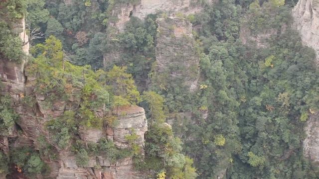 ZhangJiaJie National Forest Park - China Best Place - Travel & Discover