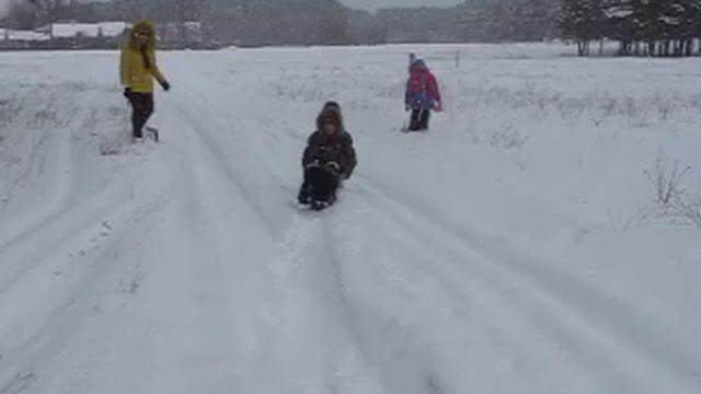 ездовой спаниель 2 смотреть онлайн