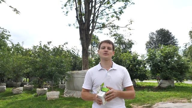 Как работает Лигногумат: применяем на крупномерах в питомнике смотреть онлайн