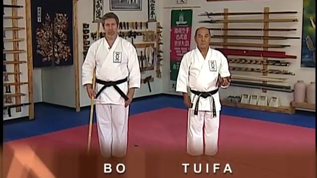 Okinawa Budo Kai Livonia Cable Show - Ryukyu Kobudo with Tokumura Kensho Sensei смотреть онлайн