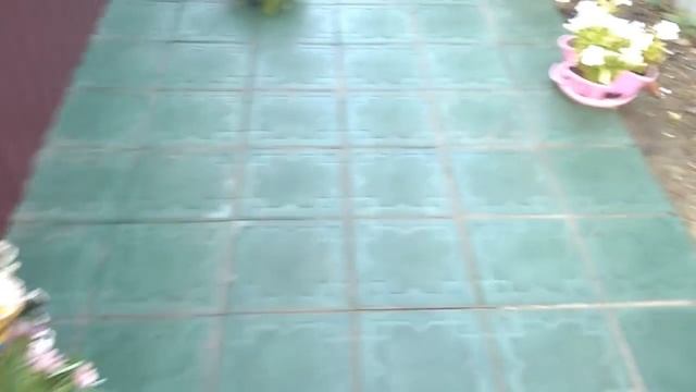 Полимерно песчаная плитка На что я её укладывал, и что из этого вышло. смотреть онлайн