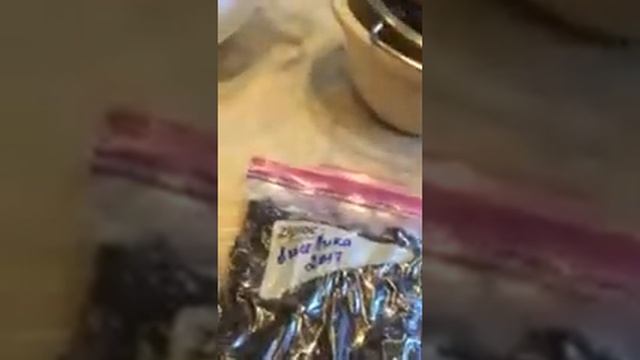 Заготовка ягод на зиму смотреть онлайн