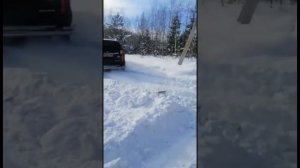 Мицубиси Паджеро Спорт 3 берёт снежную целину на даче