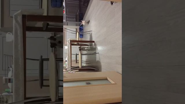 4 октября 2017 г. смотреть онлайн